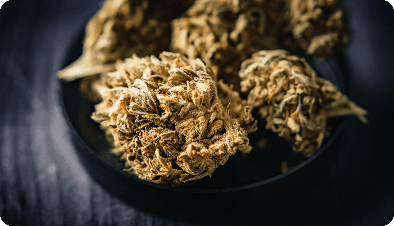 Nahaufnahme von getrockneten Cannabisblüten auf einem dunklen Teller